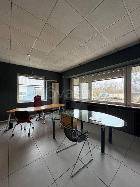 immagine annuncio 7 di 11