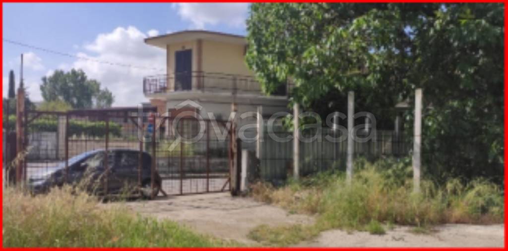 immagine annuncio 6 di 13