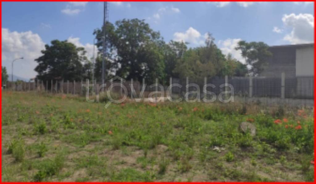 immagine annuncio 9 di 13