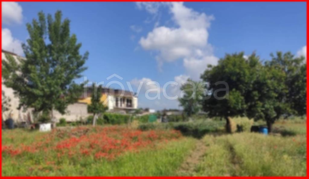 immagine annuncio 10 di 13