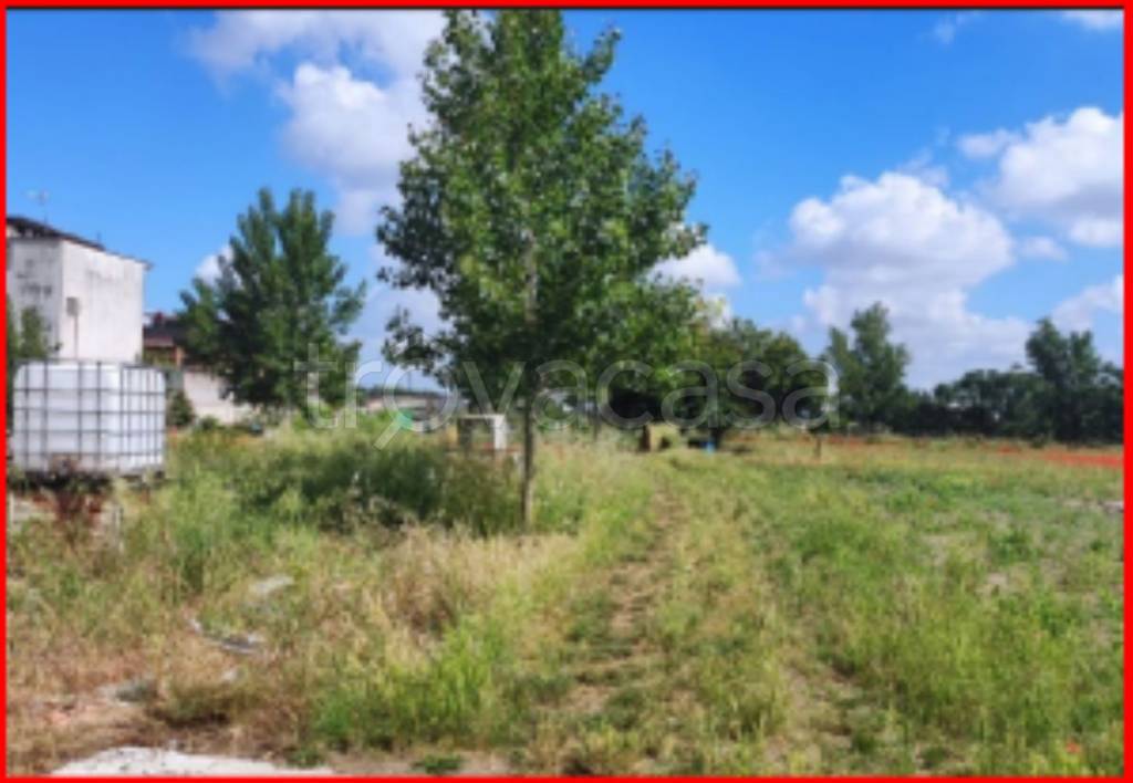 immagine annuncio 11 di 13