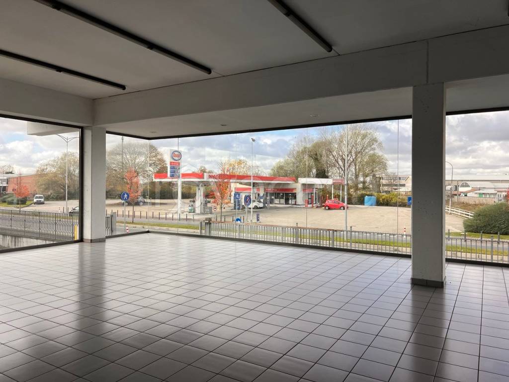 immagine annuncio 1 di 11