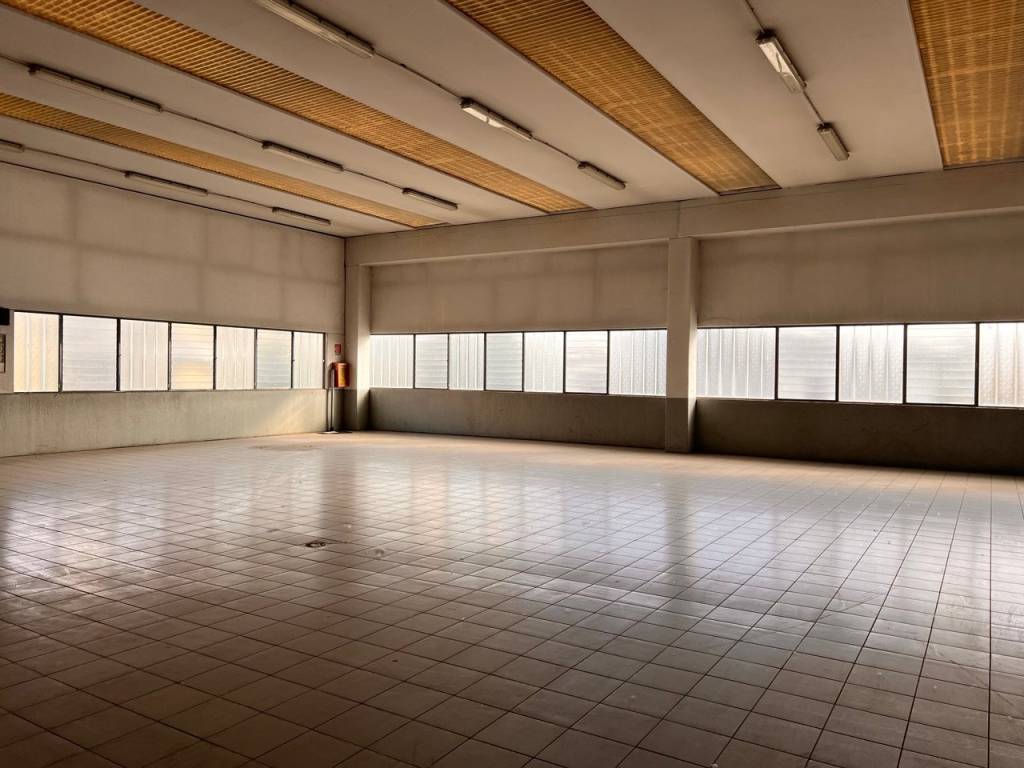 immagine annuncio 6 di 11