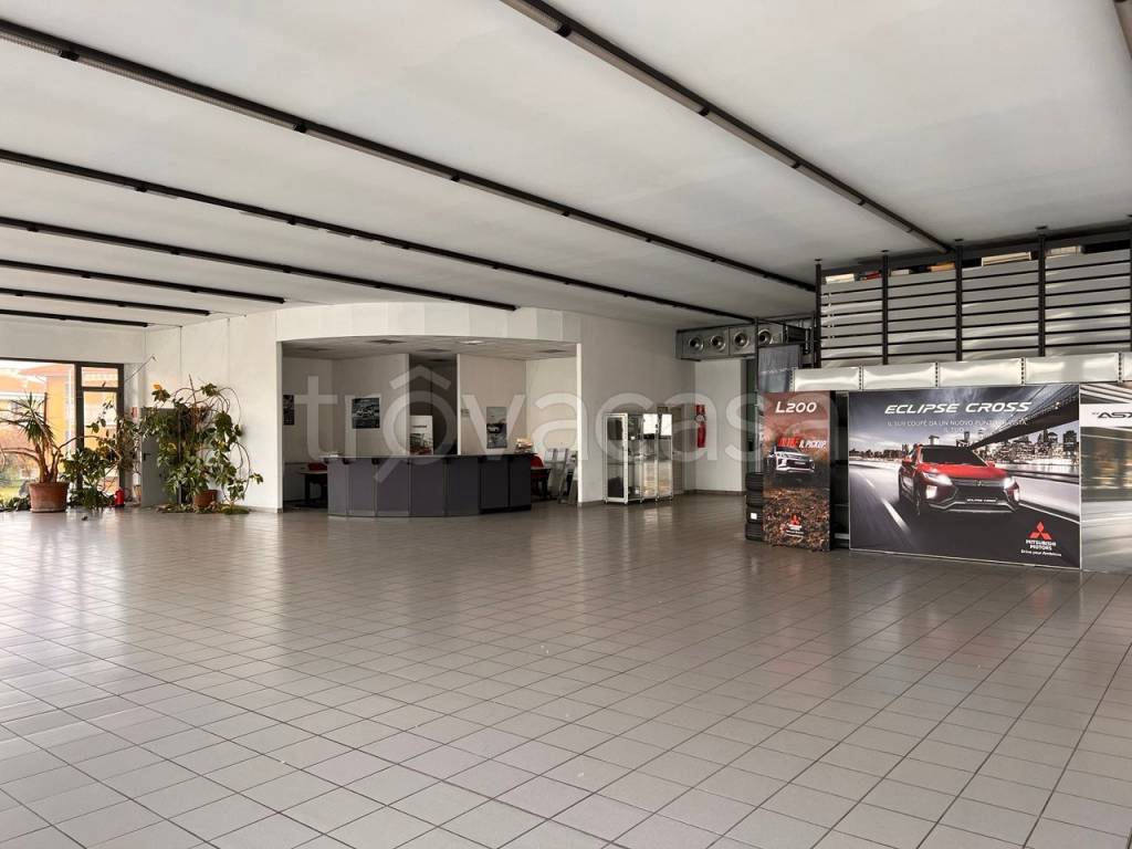 immagine annuncio 2 di 11