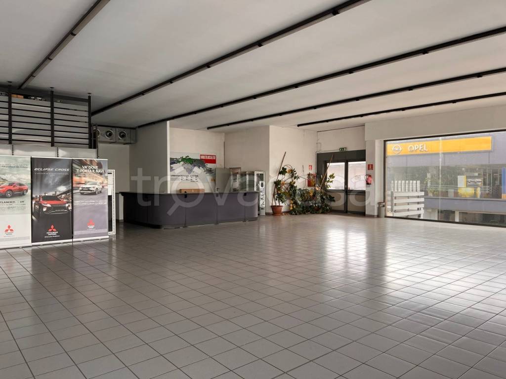 immagine annuncio 3 di 11