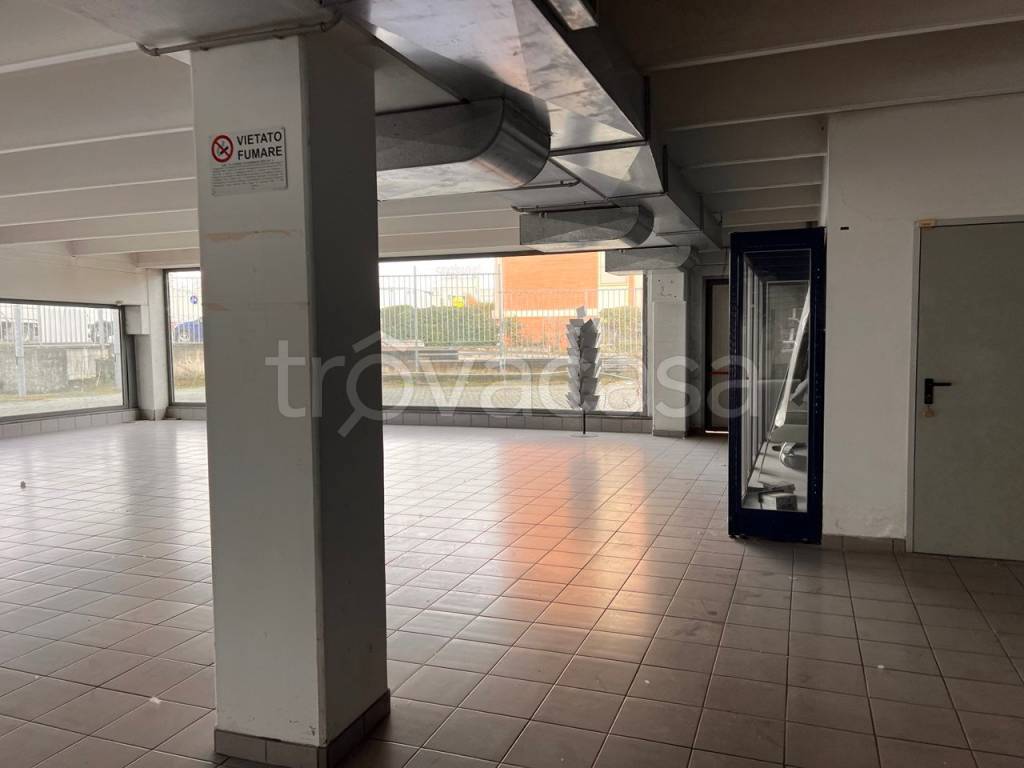 immagine annuncio 5 di 11