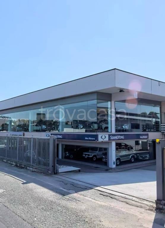 immagine annuncio 9 di 11