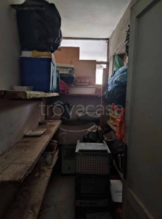 immagine annuncio 5 di 11