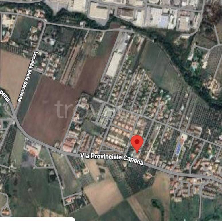 immagine annuncio 2 di 11