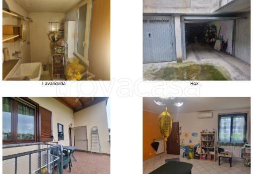 immagine annuncio 6 di 15