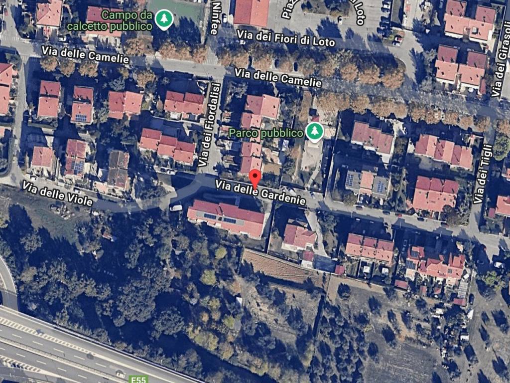 immagine annuncio 1 di 11