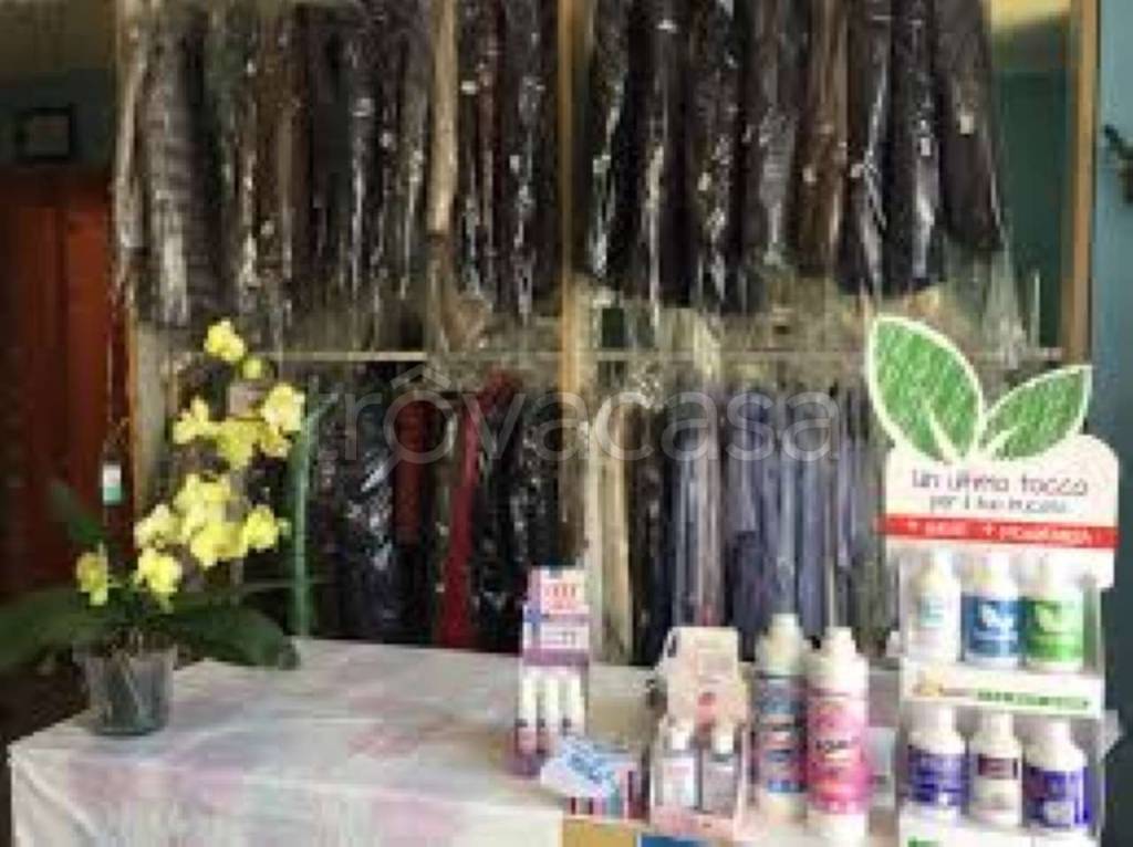 immagine annuncio 7 di 8