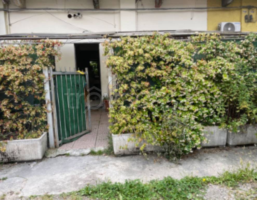 immagine annuncio 1 di 11