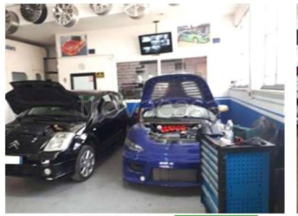 immagine annuncio 11 di 15