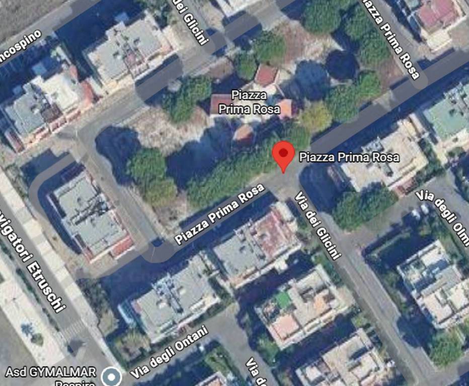 immagine annuncio 4 di 9