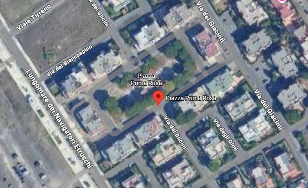 immagine annuncio 4 di 11