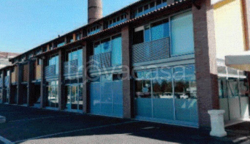 immagine annuncio 1 di 7