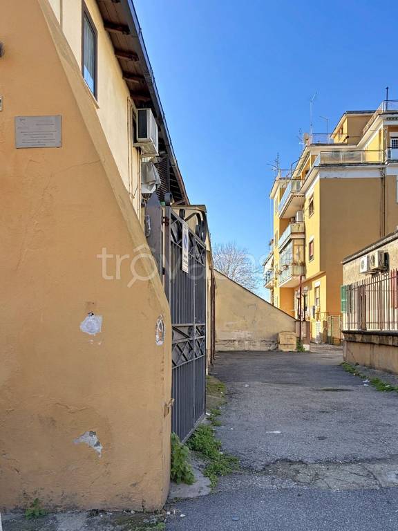 immagine annuncio 2 di 4