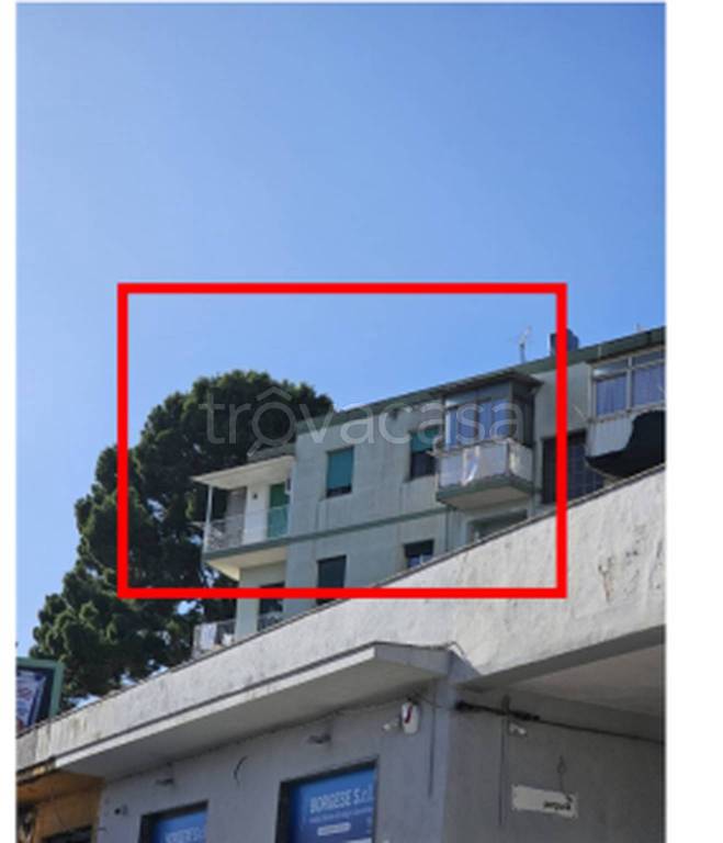 immagine annuncio 1 di 11