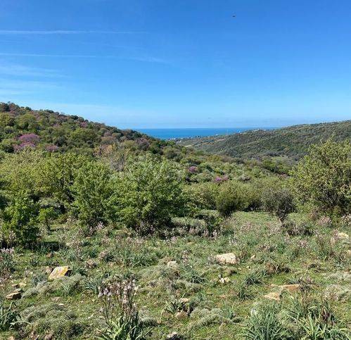 immagine annuncio 5 di 9