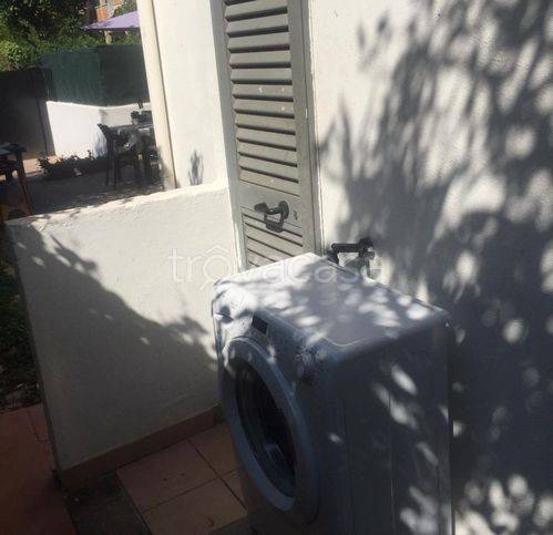 immagine annuncio 11 di 14