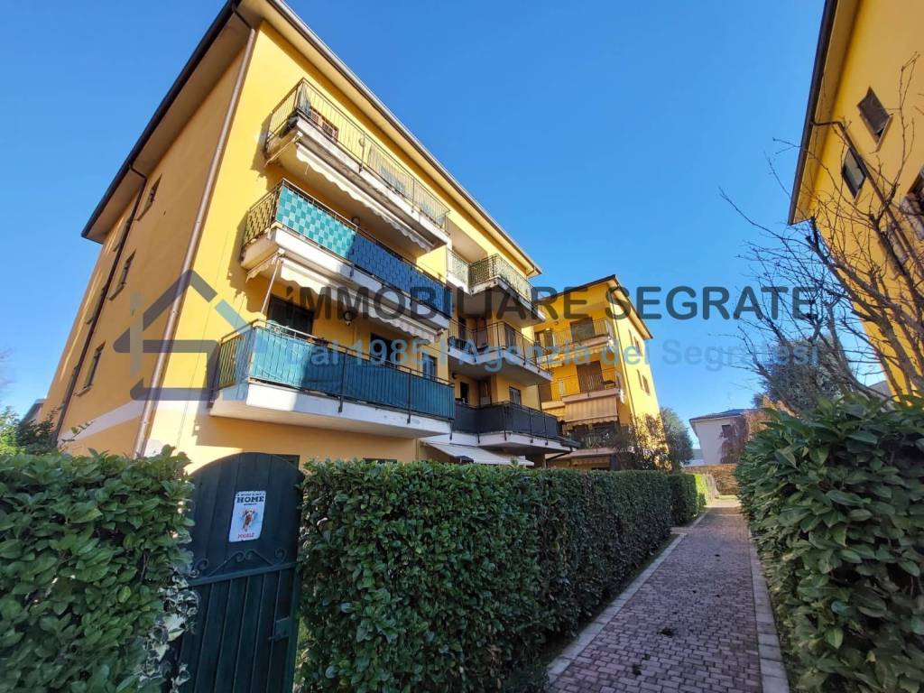 immagine annuncio 1 di 15