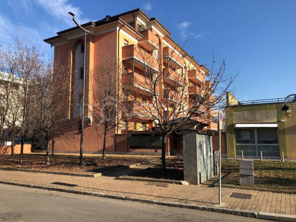 immagine annuncio 10 di 15