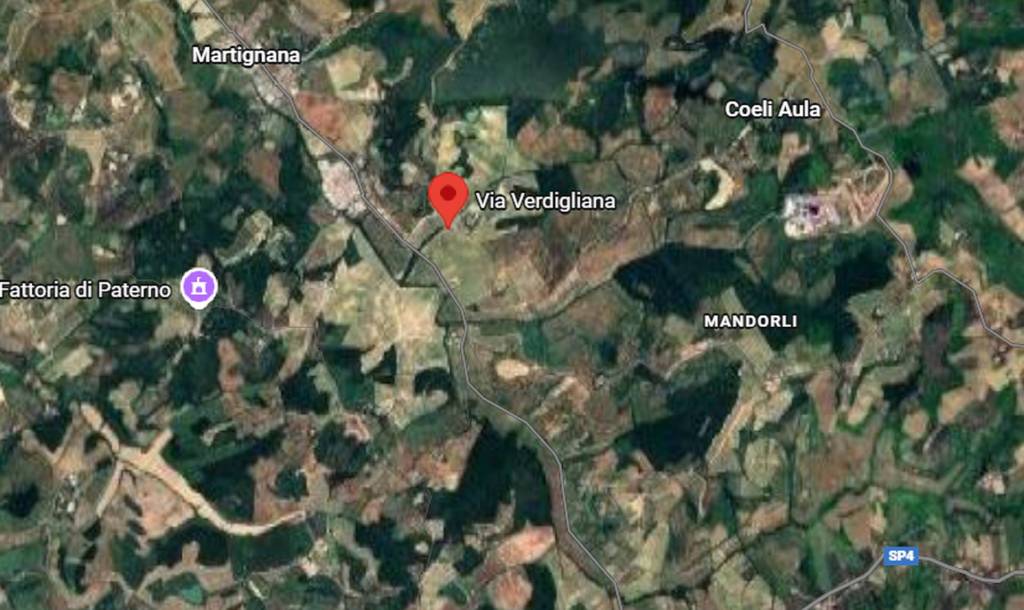 immagine annuncio 3 di 10