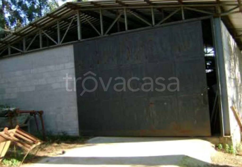 immagine annuncio 1 di 8