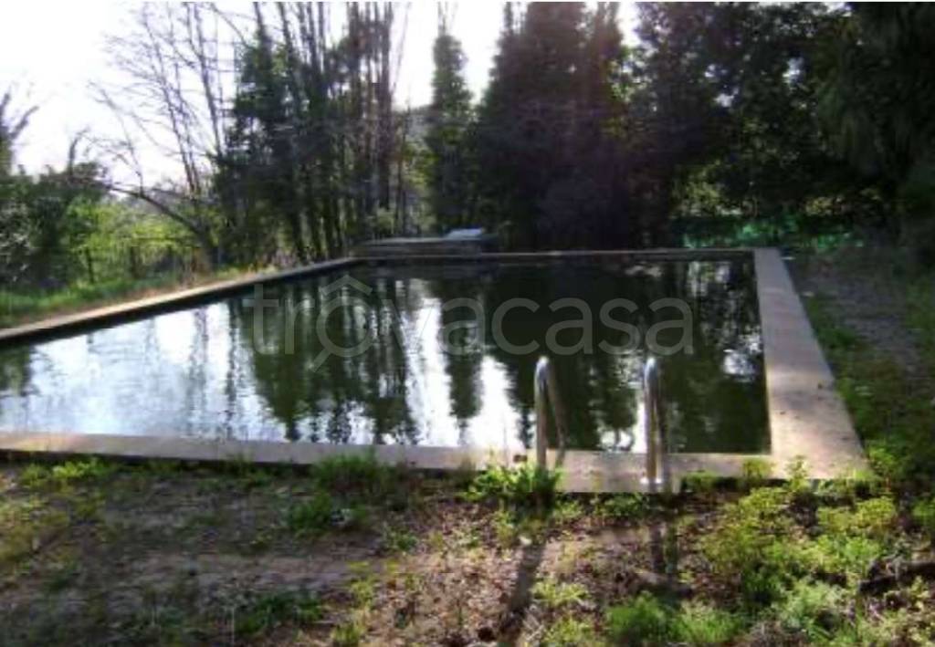 immagine annuncio 2 di 8