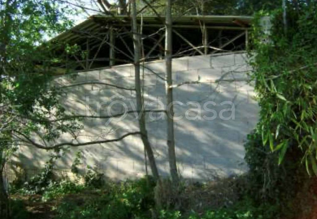 immagine annuncio 5 di 8