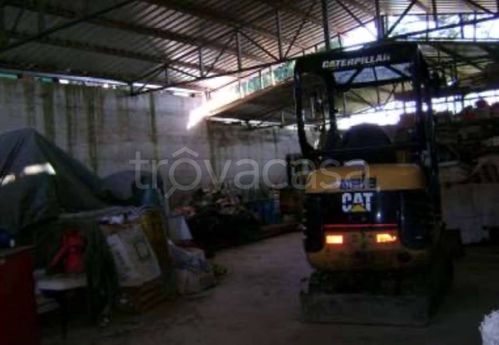 immagine annuncio 6 di 8