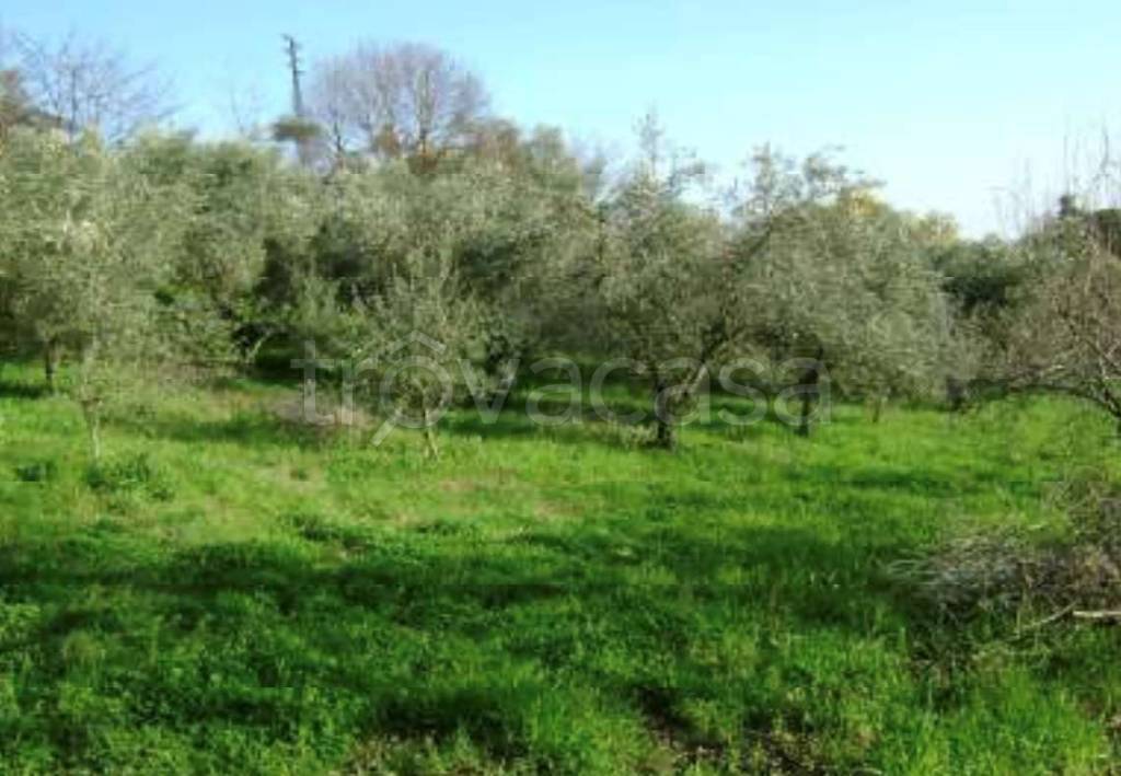 immagine annuncio 7 di 8