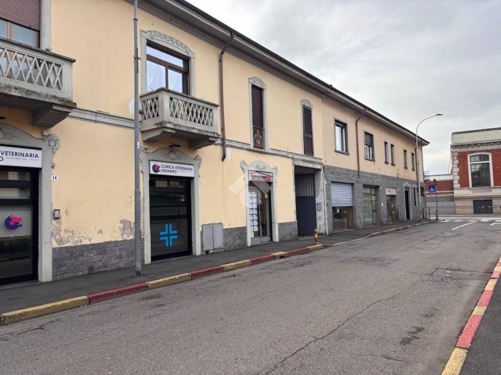 immagine annuncio 8 di 15