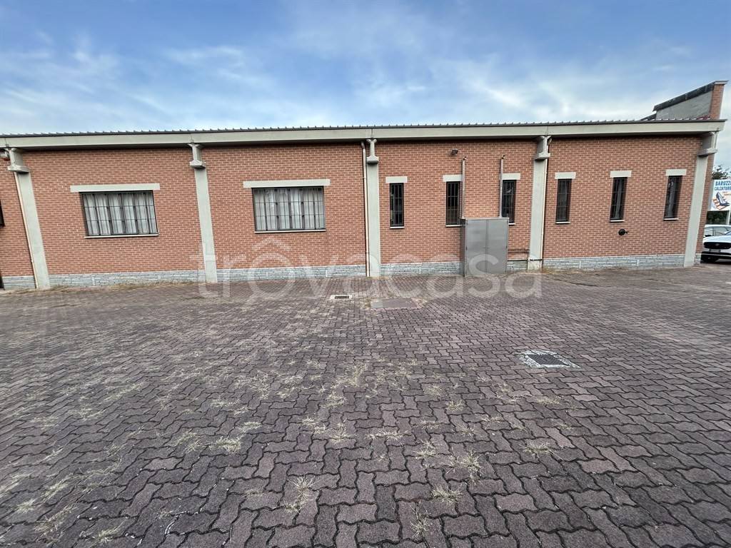 immagine annuncio 3 di 15