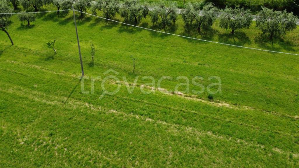 immagine annuncio 9 di 12