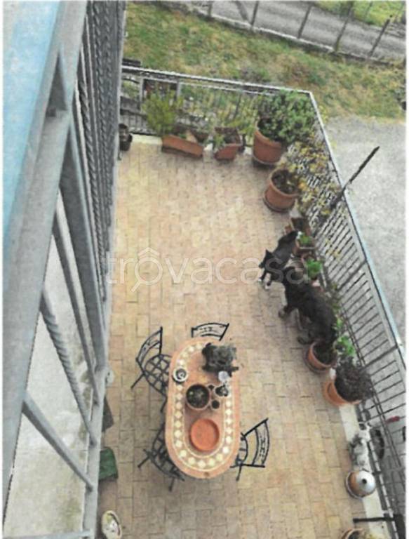 immagine annuncio 5 di 13