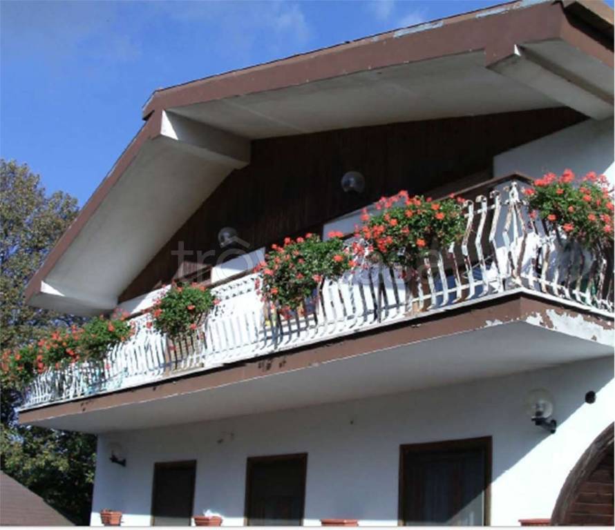 immagine annuncio 2 di 6