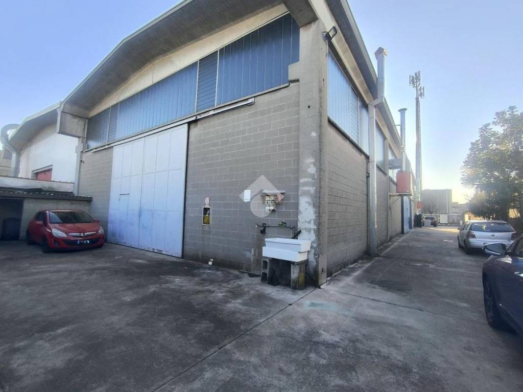 immagine annuncio 6 di 15