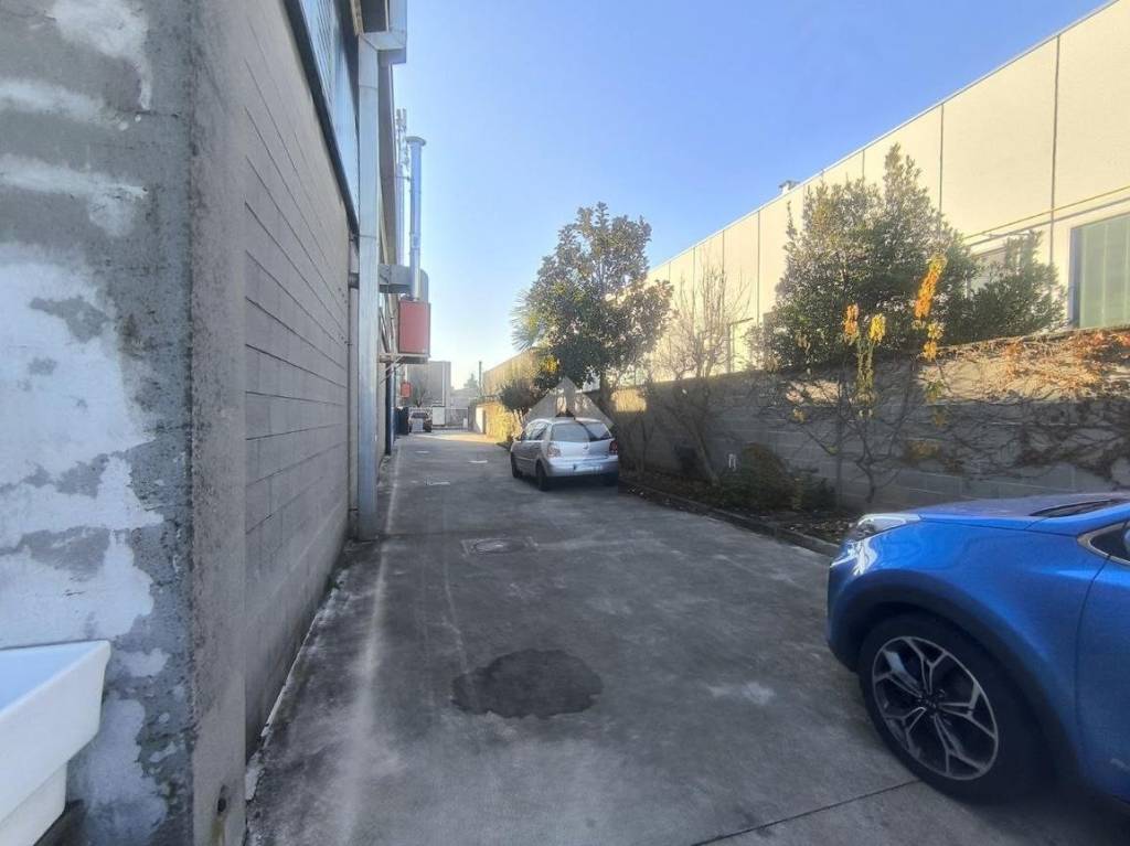 immagine annuncio 10 di 15