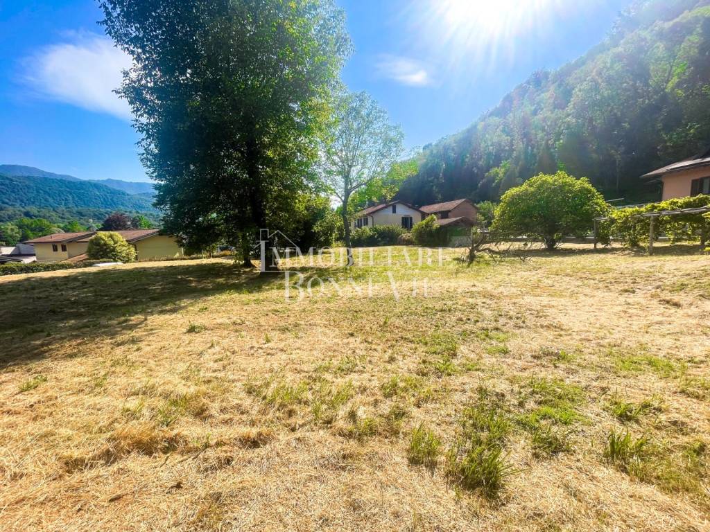 immagine annuncio 4 di 12