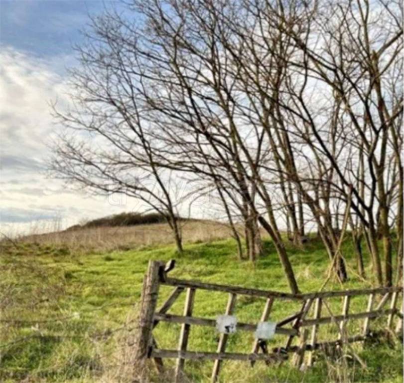 immagine annuncio 2 di 7