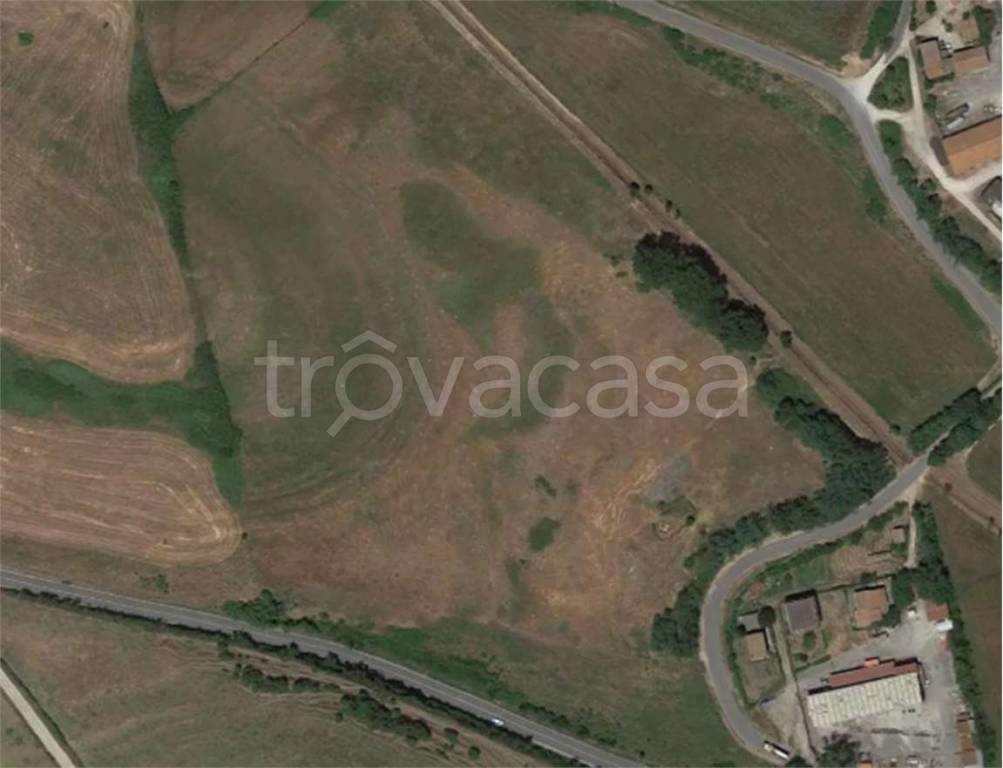 immagine annuncio 5 di 7