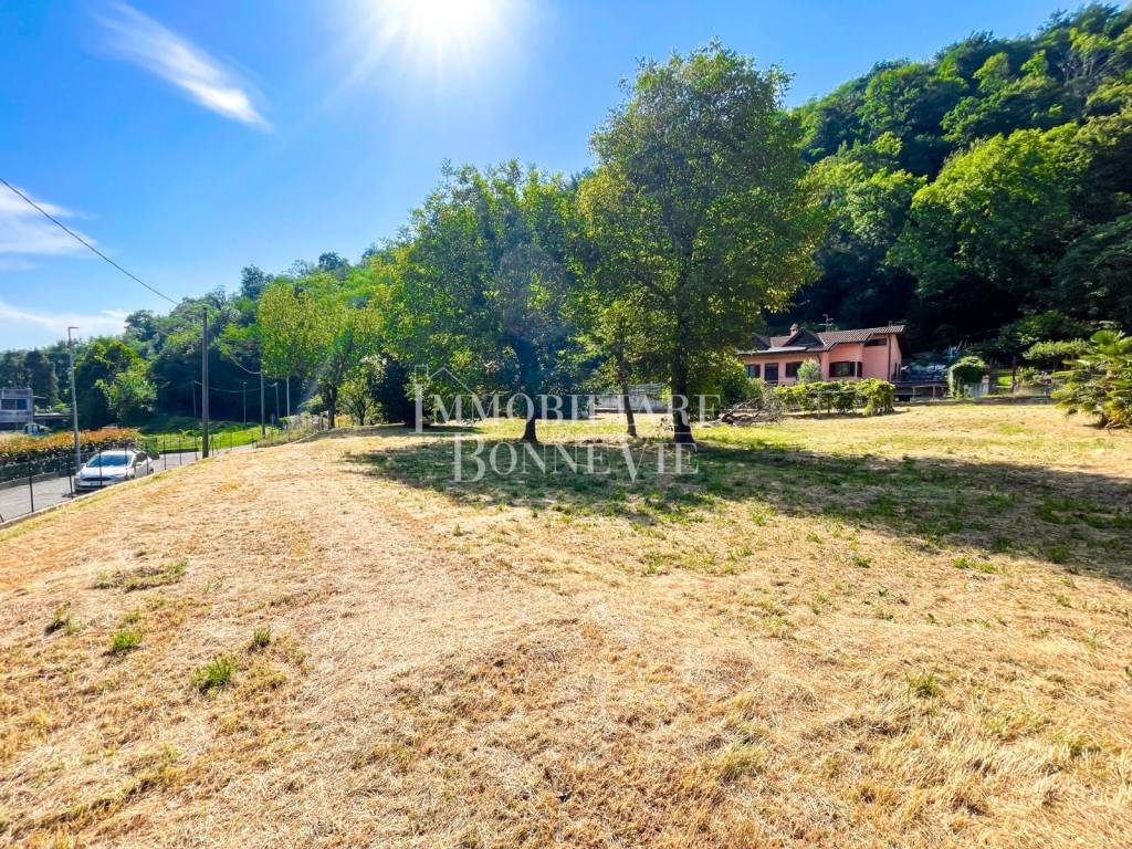 immagine annuncio 5 di 12