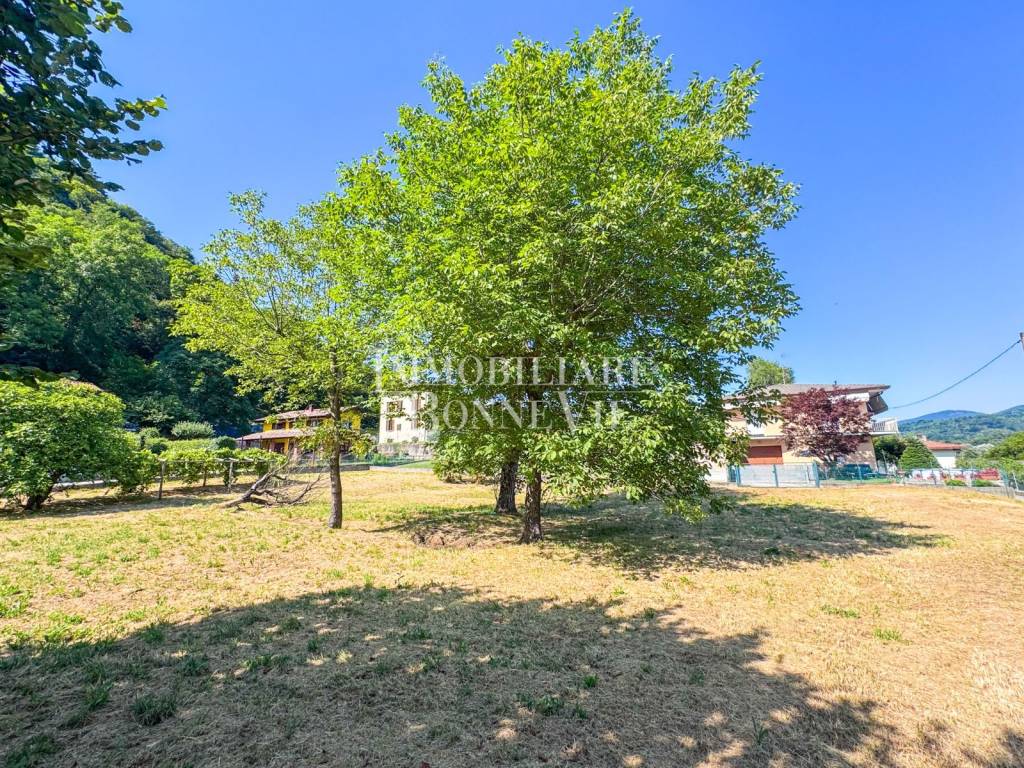 immagine annuncio 6 di 12