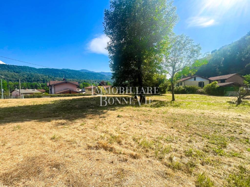 immagine annuncio 7 di 12