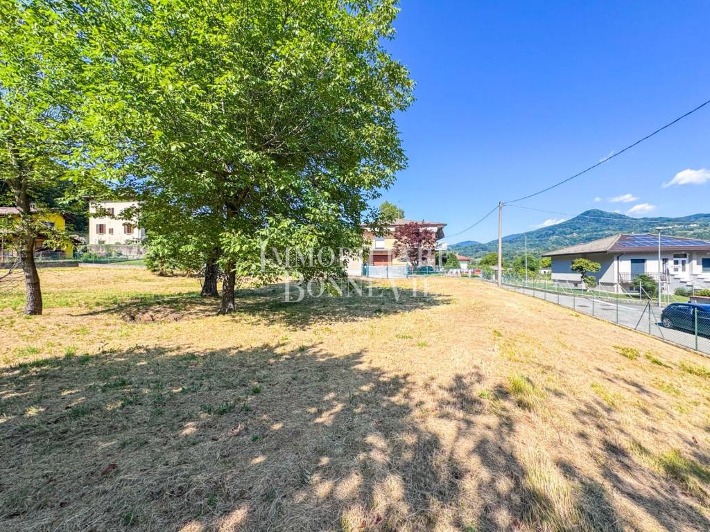 immagine annuncio 10 di 12