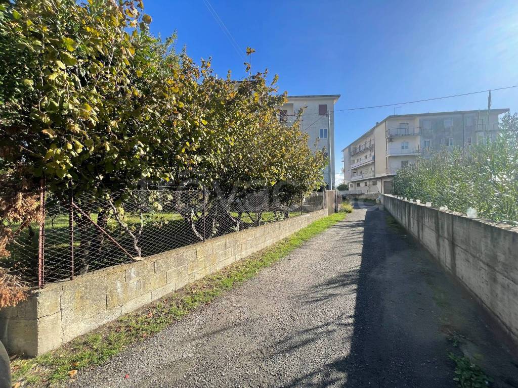 immagine annuncio 6 di 8