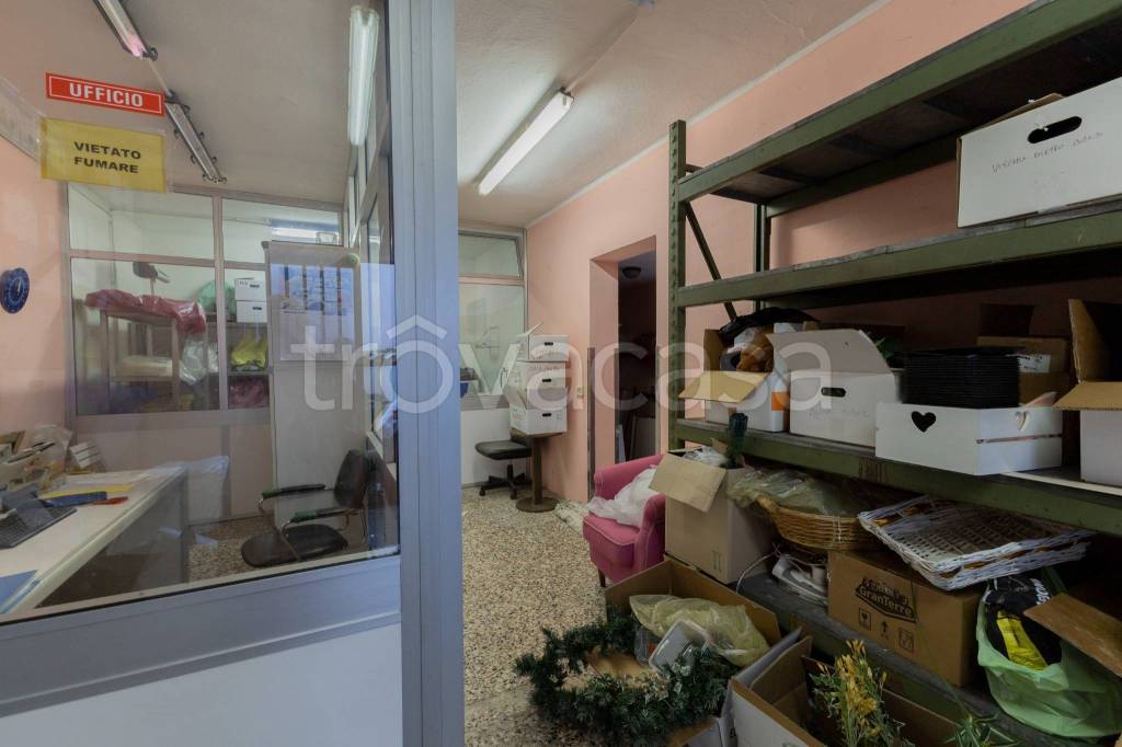 immagine annuncio 13 di 15