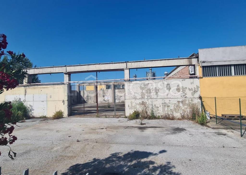 immagine annuncio 1 di 10